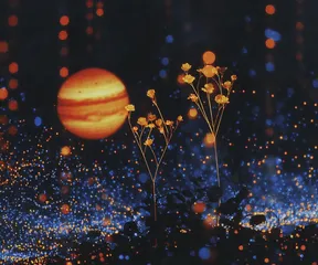 Jupiter in Seventh House