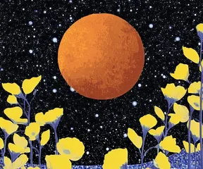 Mars Mahadasha: Meaning, Effects, and Antardasha Results