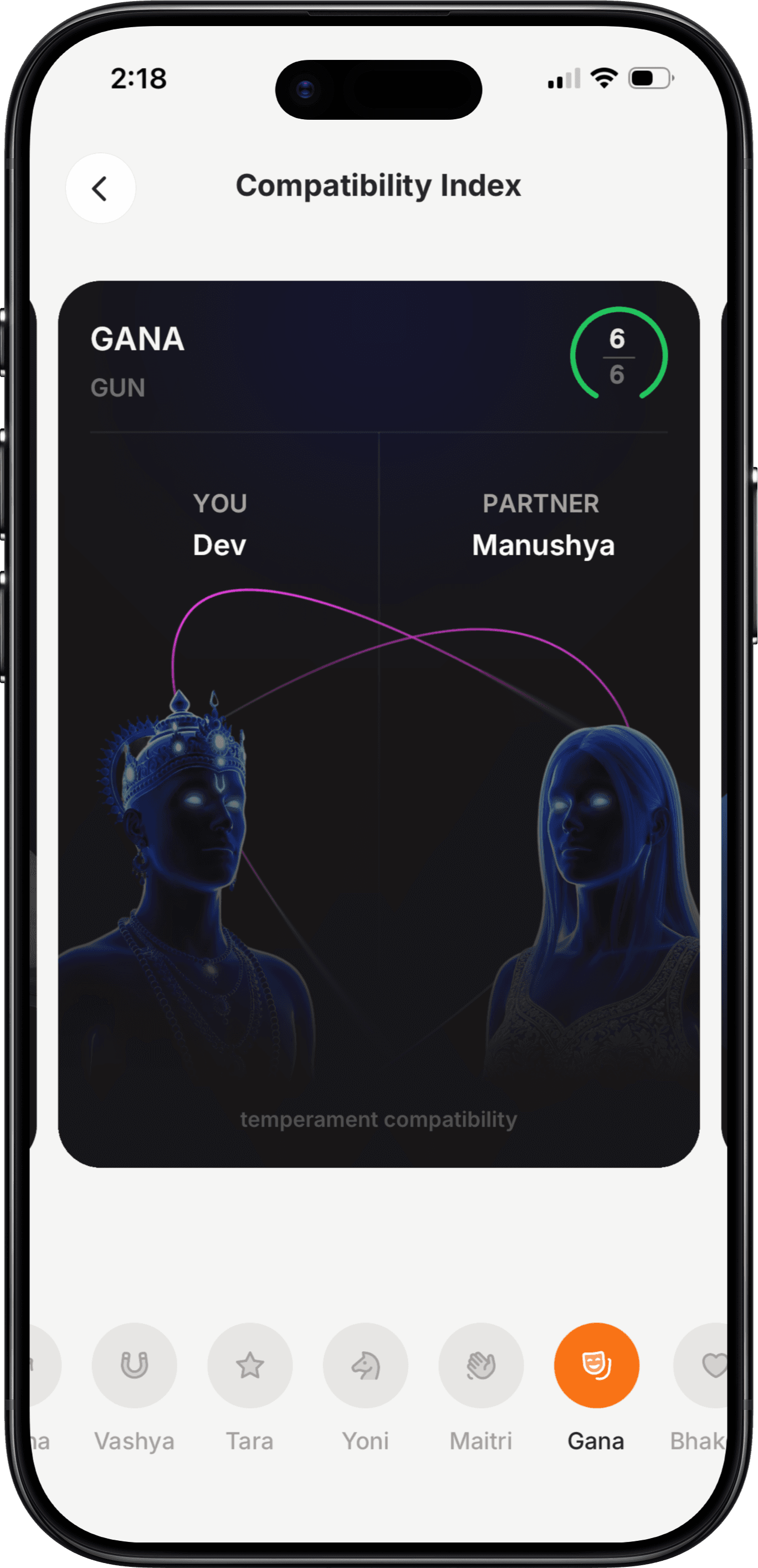 Vaya partner screen